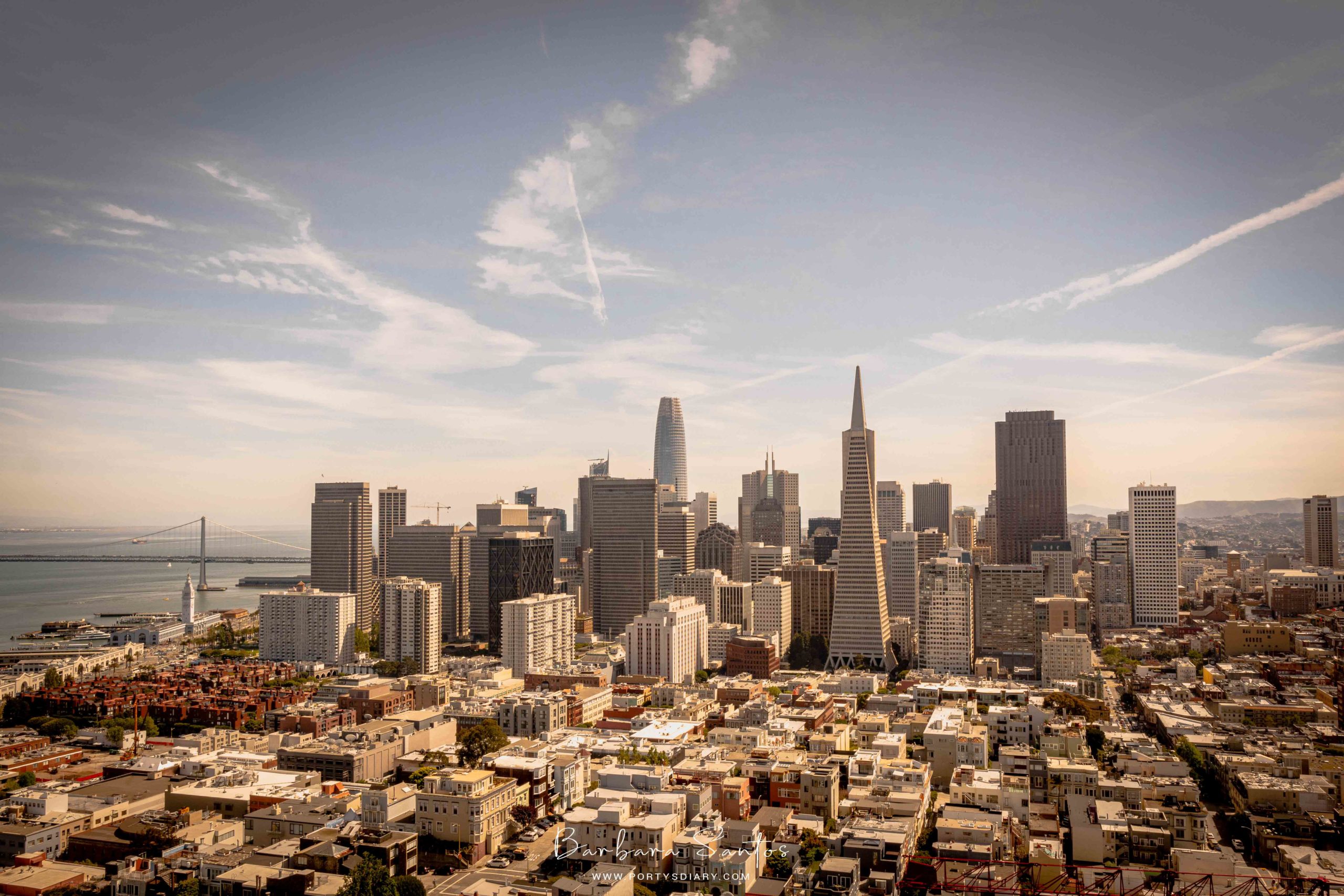 San Francisco view from Coit Tower - 8 things to do in San Francisco