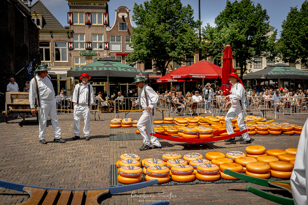 Cheese Market in Alkmaar